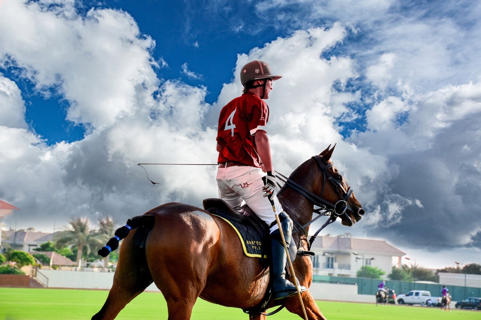woman-cloud-horse-sky-polo-halter-1668256-pxhere.com